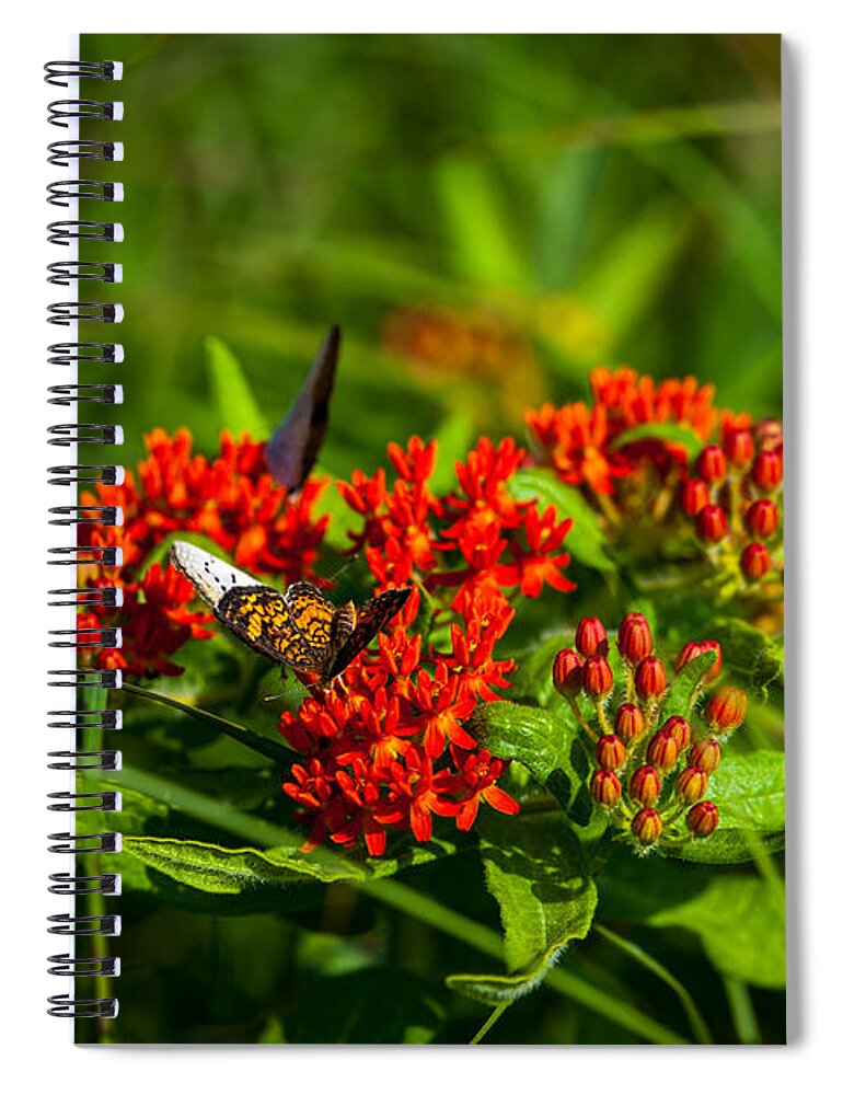 Flower Spiral Notebook featuring the photograph Red Butterfly Milkweed by Jeff Phillippi