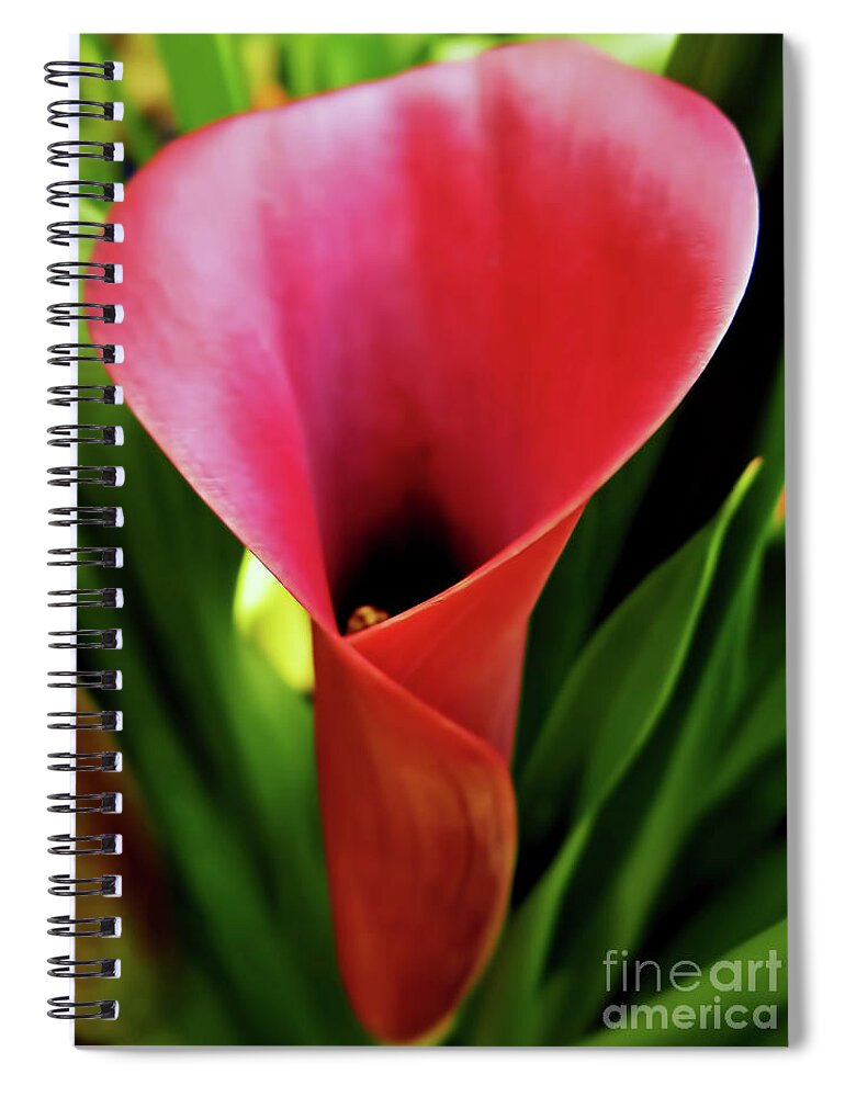 Calla Lily Spiral Notebook featuring the photograph Red - Calla Lily - Flower by D Hackett