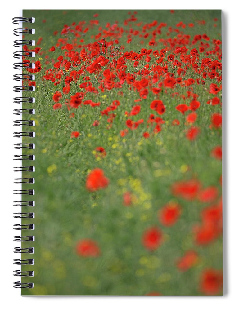 Wild Spiral Notebook featuring the photograph Red Carpet by Pete Walkden