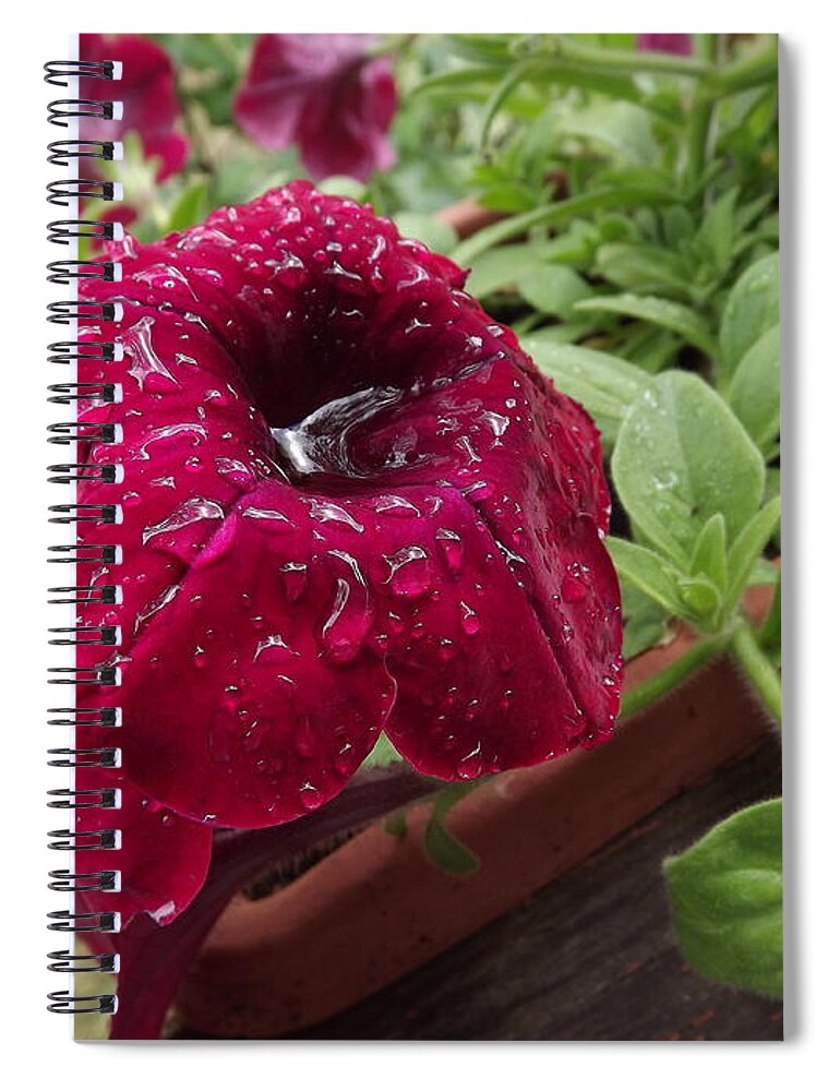 Flower Spiral Notebook featuring the photograph Red Deck by Richard Faulkner