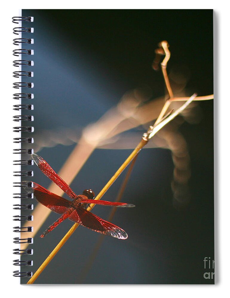 Dragonfly Spiral Notebook featuring the photograph Red Dragonfly by Mike Reid