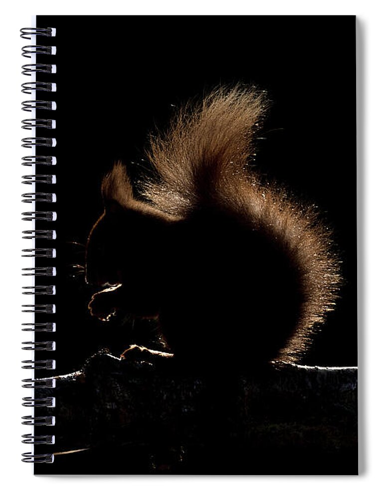 Red Spiral Notebook featuring the photograph Red Edge by Pete Walkden