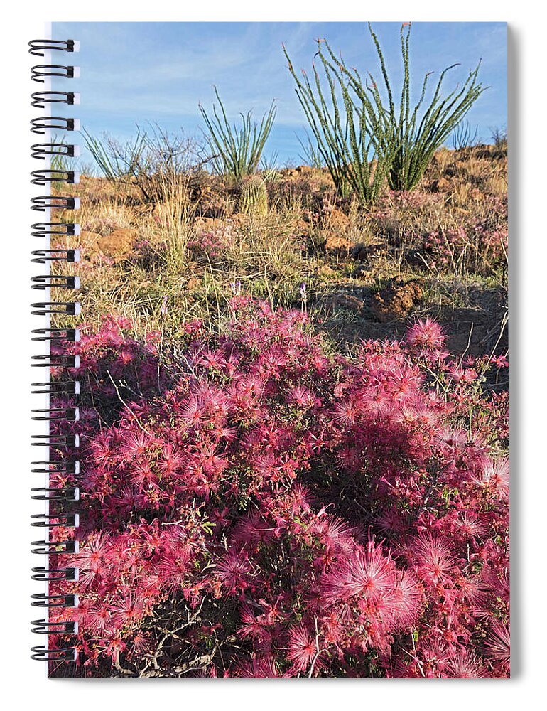Fairy Duster Spiral Notebook featuring the photograph Red Fairy Duster by Tom Daniel