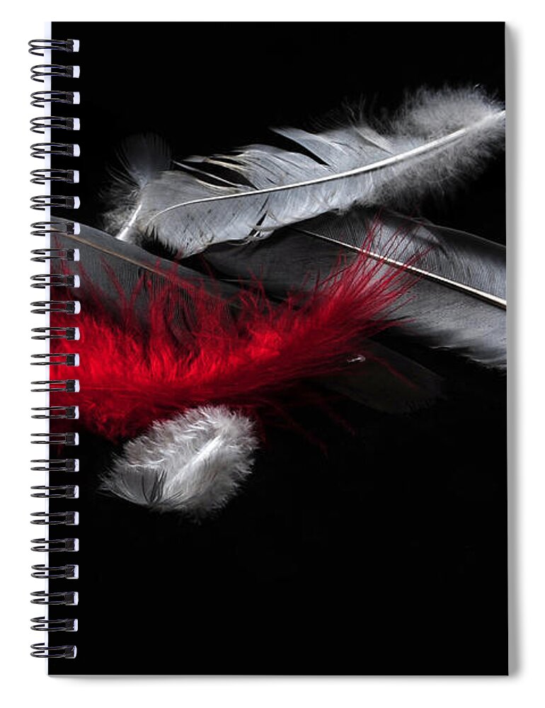 Red Feather Spiral Notebook featuring the photograph Red Feather by Randi Grace Nilsberg