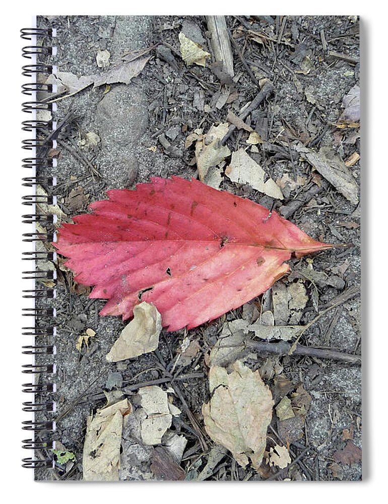 Fall Spiral Notebook featuring the photograph Red Leaf by Lisa Blake