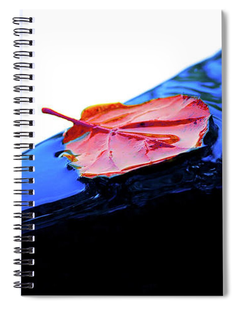 Leaf Spiral Notebook featuring the photograph Red Leaf on Blue Water Fountain by Naoki Aiba