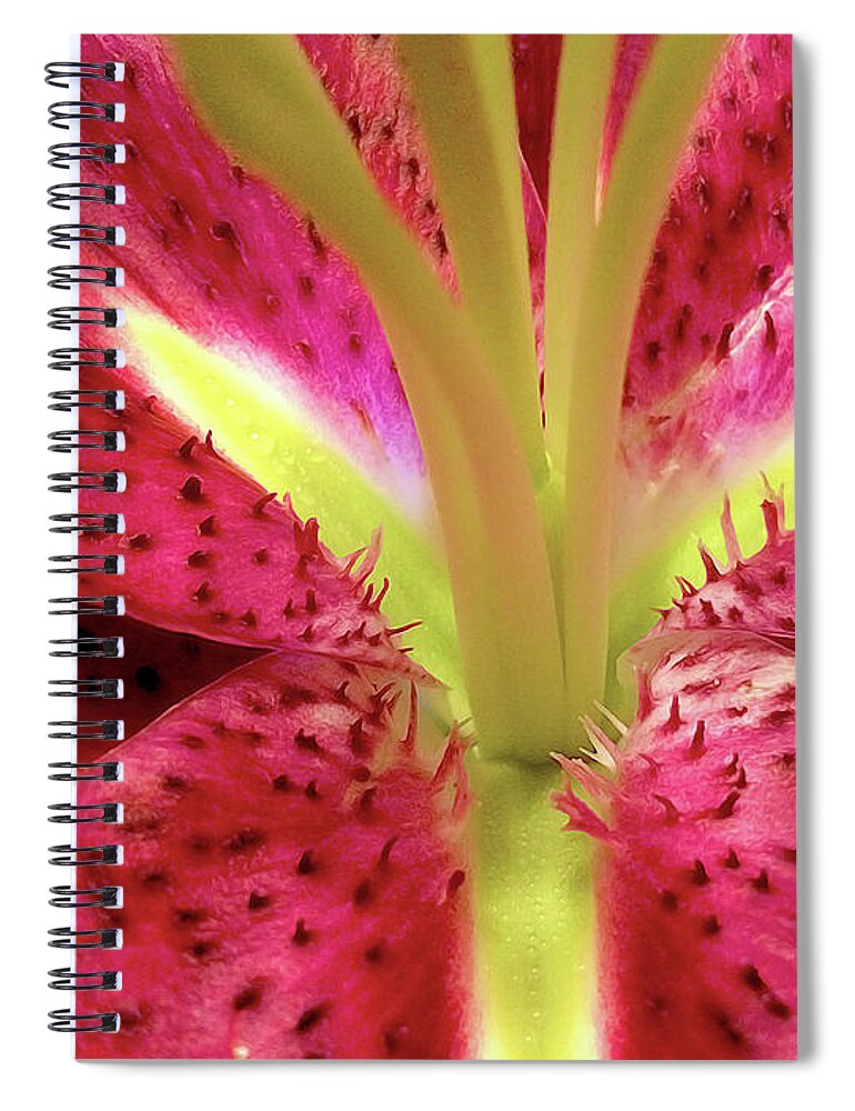 Nature Spiral Notebook featuring the photograph Red Lily Closeup by Linda Carruth