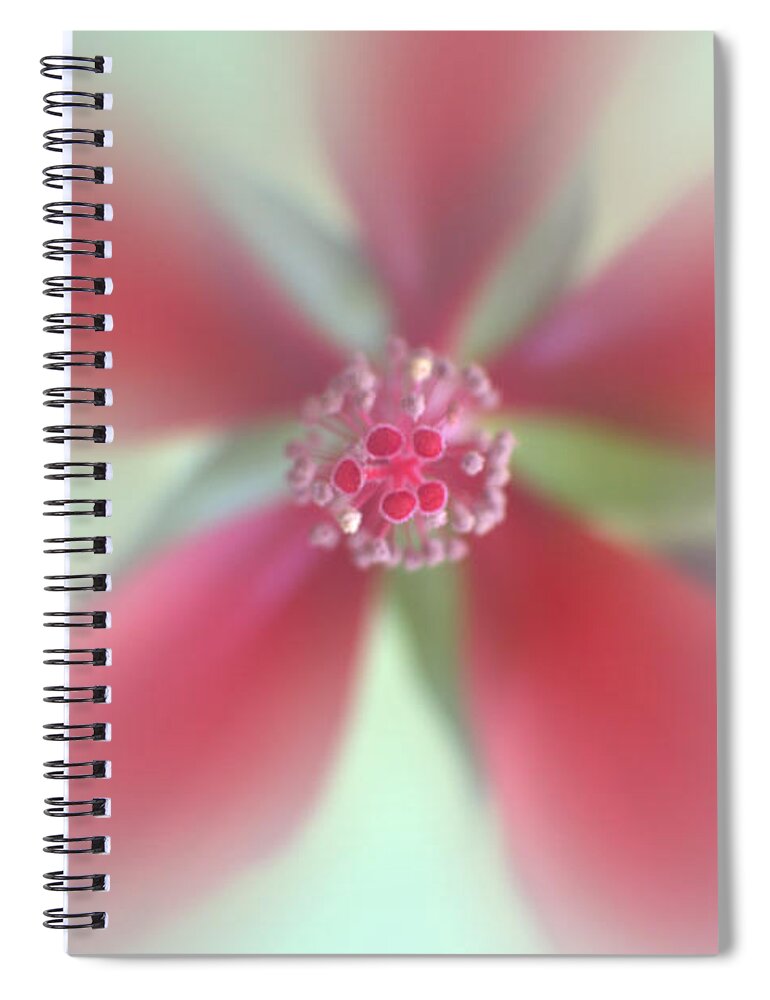 Abstract Spiral Notebook featuring the photograph Red Macro Floral Art by Ella Kaye Dickey