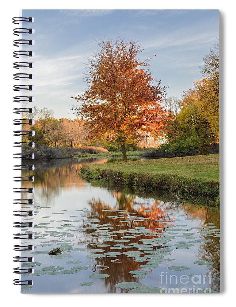 Red Maple Tree Spiral Notebook featuring the photograph Red Maple Tree Reflection at Sunrise by Tamara Becker