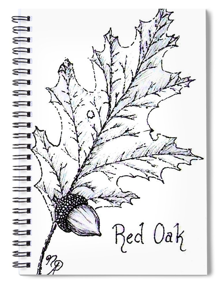 Red Oak Spiral Notebook featuring the drawing Red Oak leaf and acorn by Nicole Angell