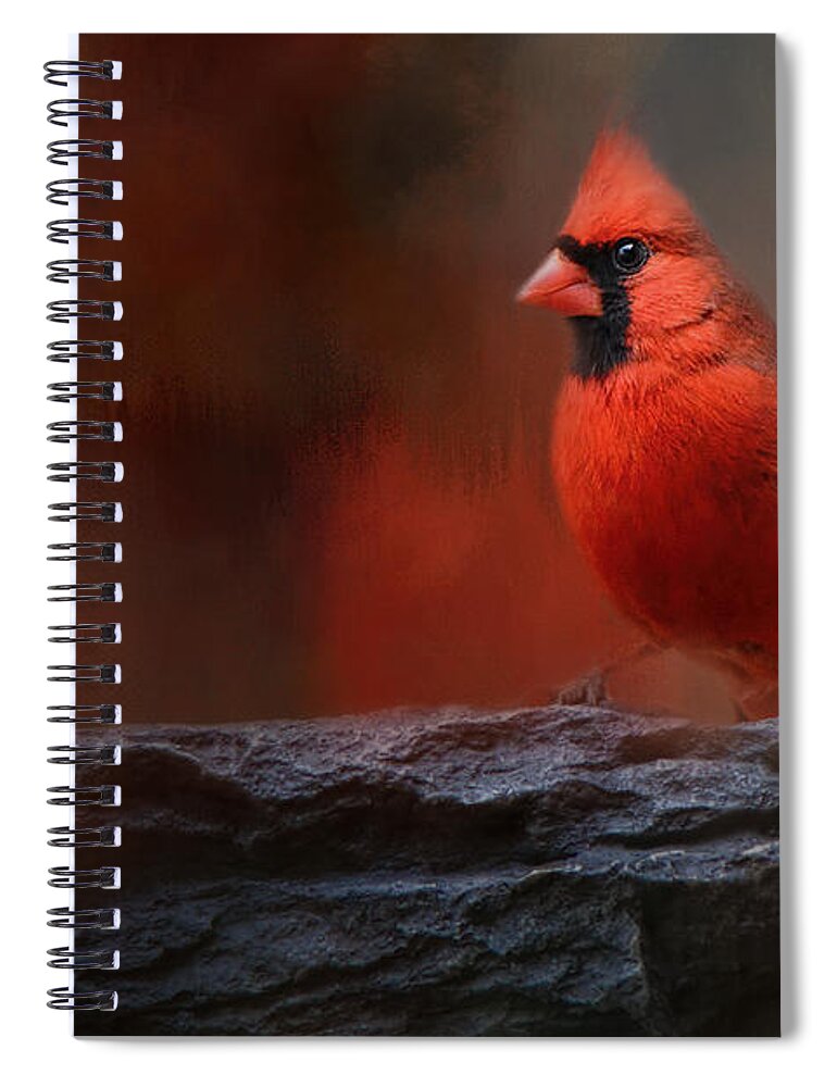 Jai Johnson Spiral Notebook featuring the photograph Red On The Rocks - Cardinal Bird Art by Jai Johnson