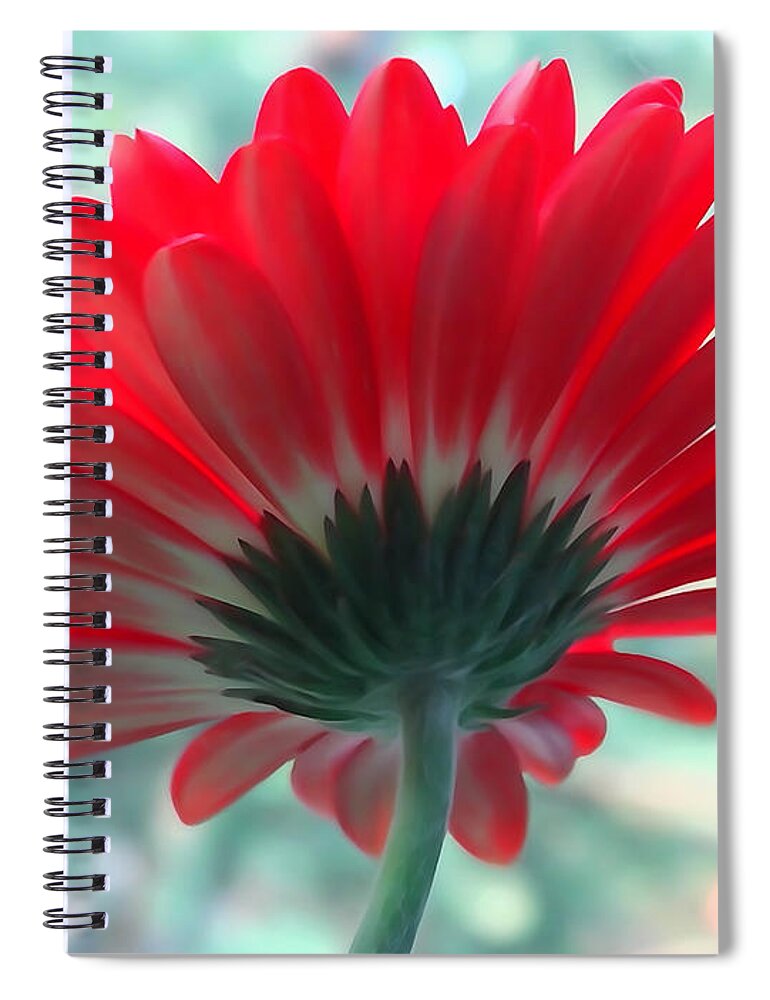 Backside Spiral Notebook featuring the photograph Red Petals by David T Wilkinson
