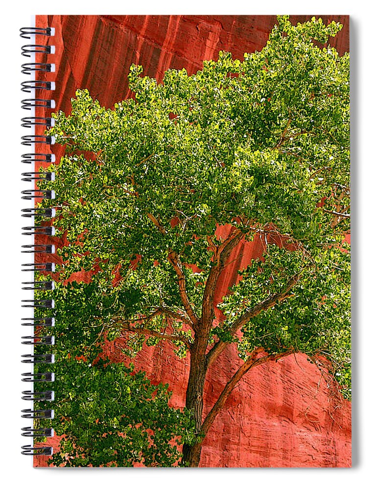 Tree Spiral Notebook featuring the photograph Red Rock Green Tree by Joe Kozlowski