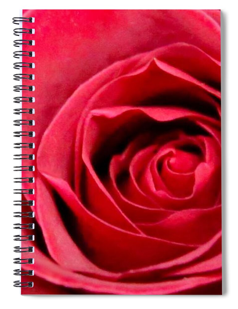 Love Spiral Notebook featuring the photograph Red Rose by DJ Florek