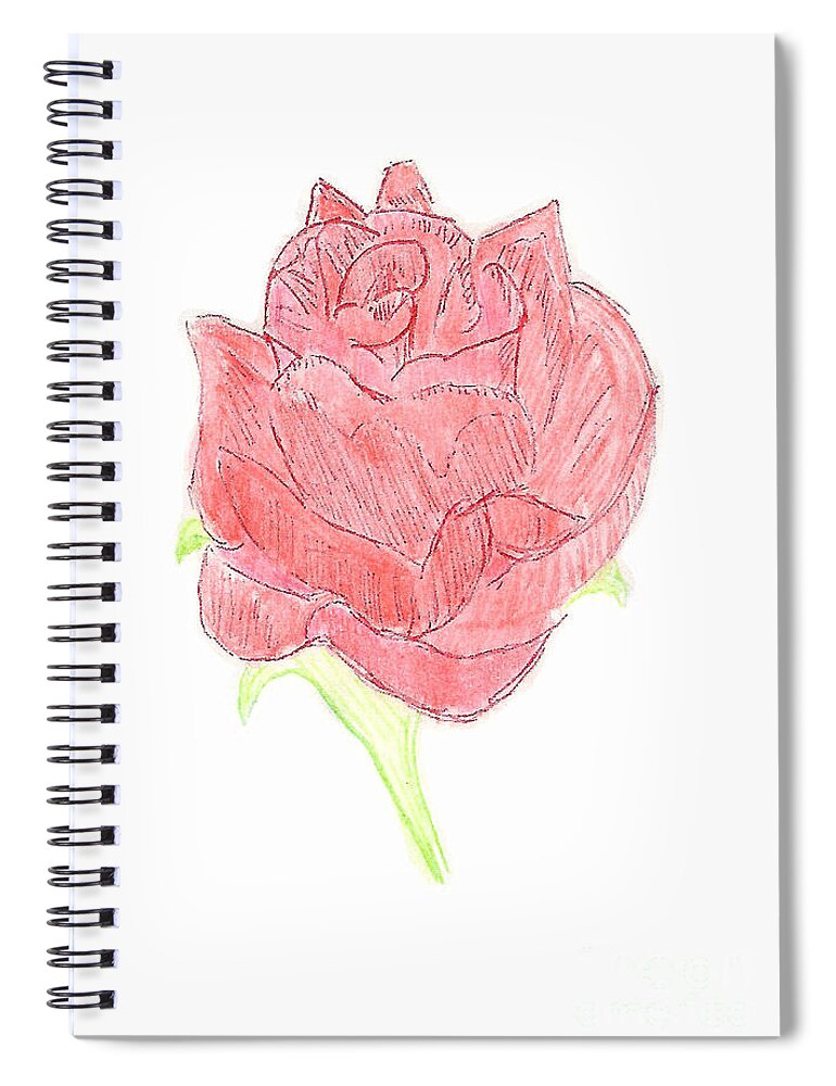 Rose Spiral Notebook featuring the painting Red Rose #3 by Donna L Munro