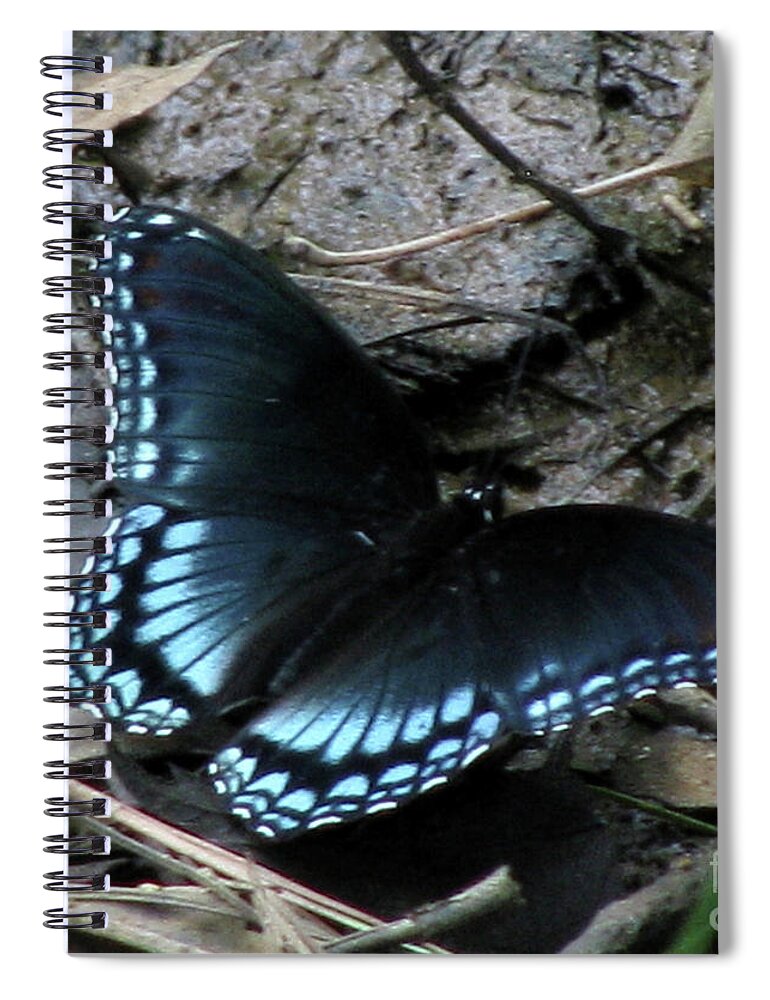 Butterfly Spiral Notebook featuring the photograph Red Spotted Purple Swallowtail Butterfly by Donna Brown