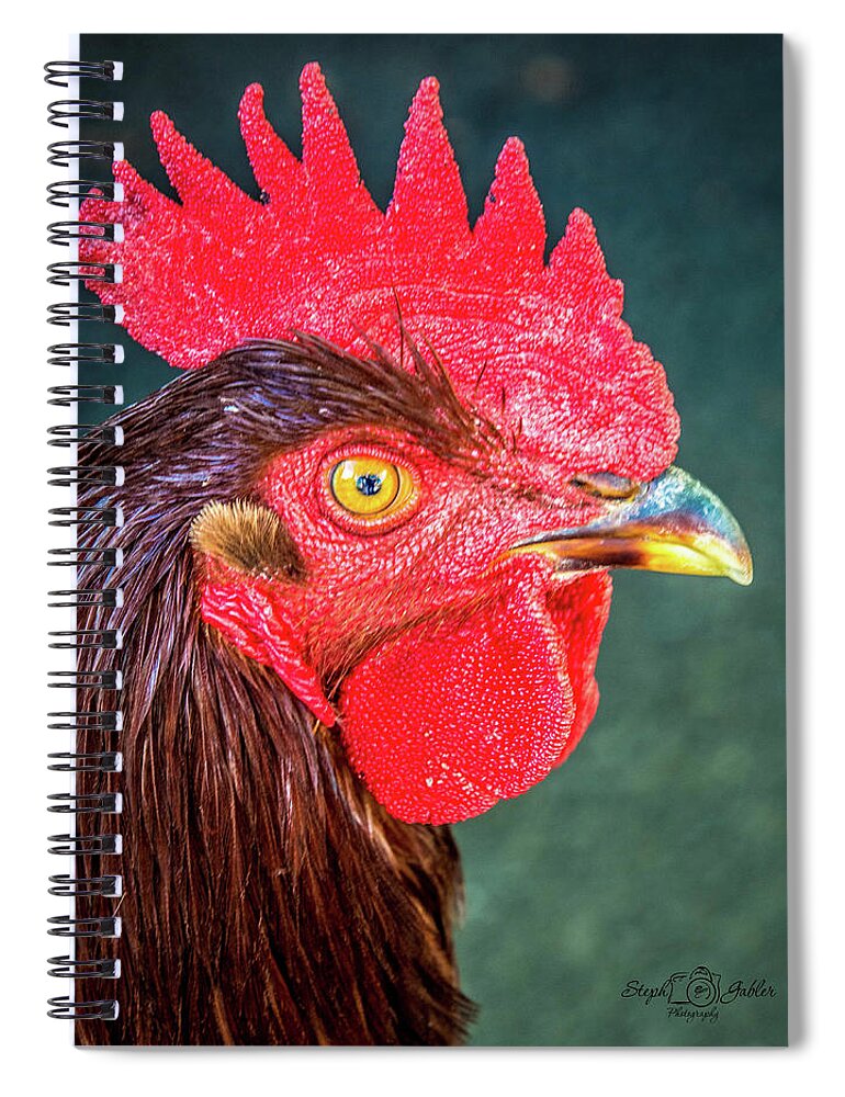 Rooster Spiral Notebook featuring the photograph Red by Steph Gabler
