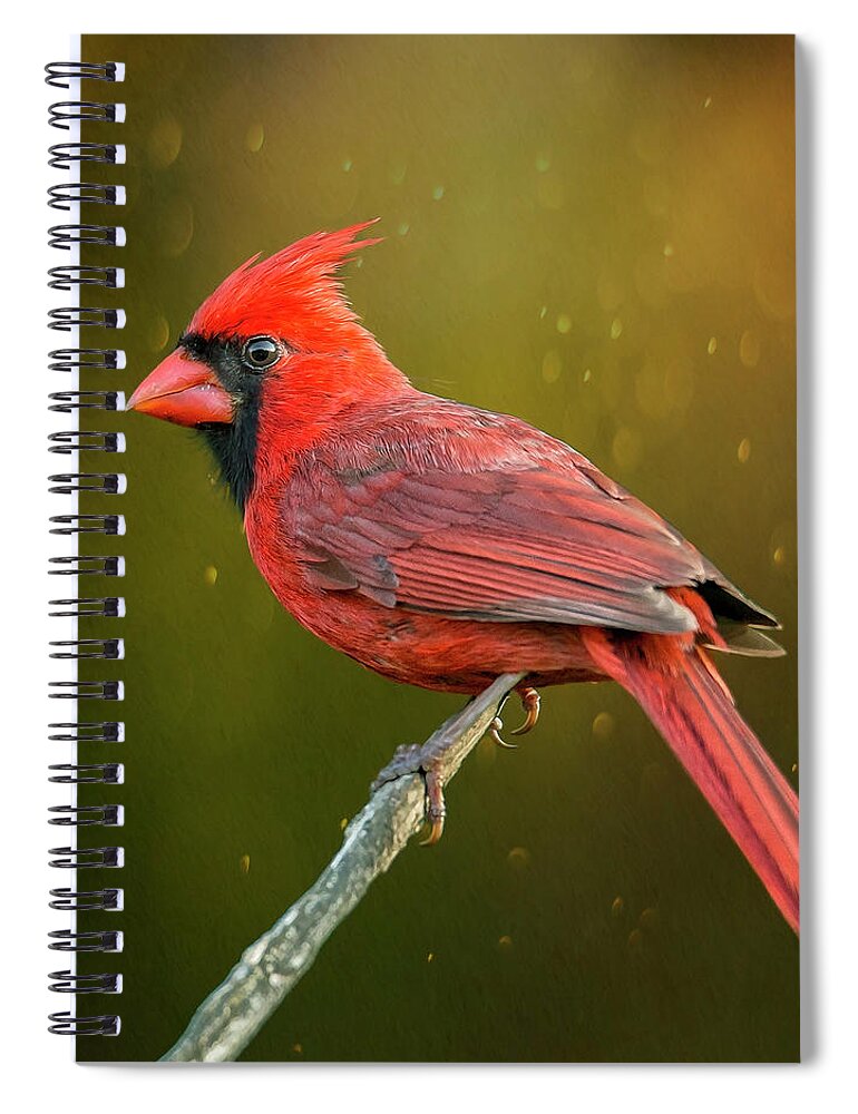 Northern Cardinal Spiral Notebook featuring the photograph Redbird On A Stick by Bill and Linda Tiepelman