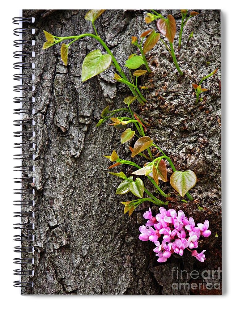 Redbud Spiral Notebook featuring the photograph Redbud Flowers 2 by Sarah Loft