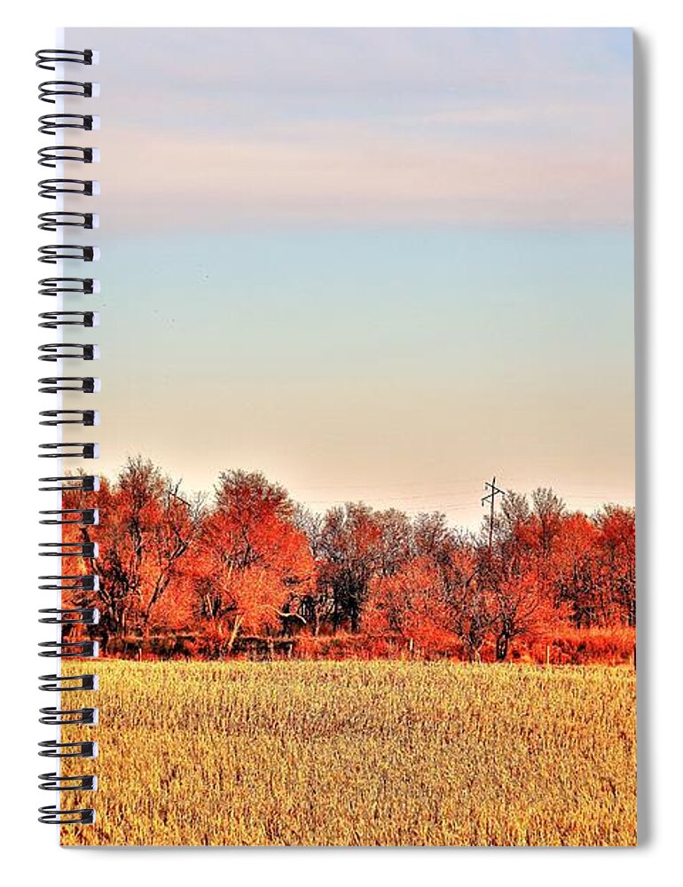 Barn Spiral Notebook featuring the photograph Reds and Oranges by Merle Grenz