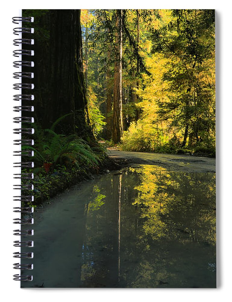 Redwood National Park Spiral Notebook featuring the photograph Redwood Reflecitons Landscape by Adam Jewell