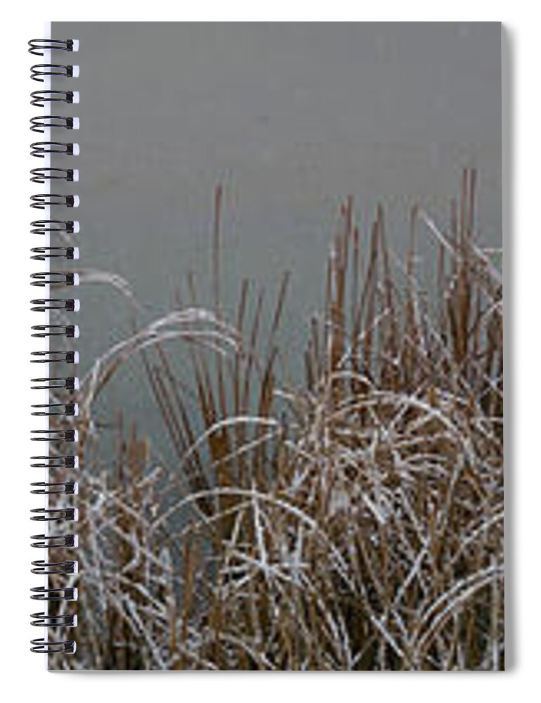 Reeds Spiral Notebook featuring the photograph Reeds by Brooke Bowdren