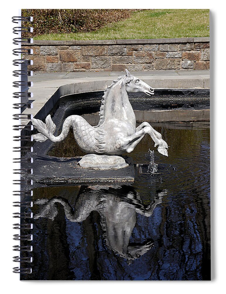 Richard Reeve Spiral Notebook featuring the photograph Reflections on a Sea Horse by Richard Reeve