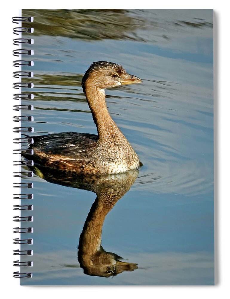 Adorable Spiral Notebook featuring the photograph Reflected Grebe by Dawn Currie
