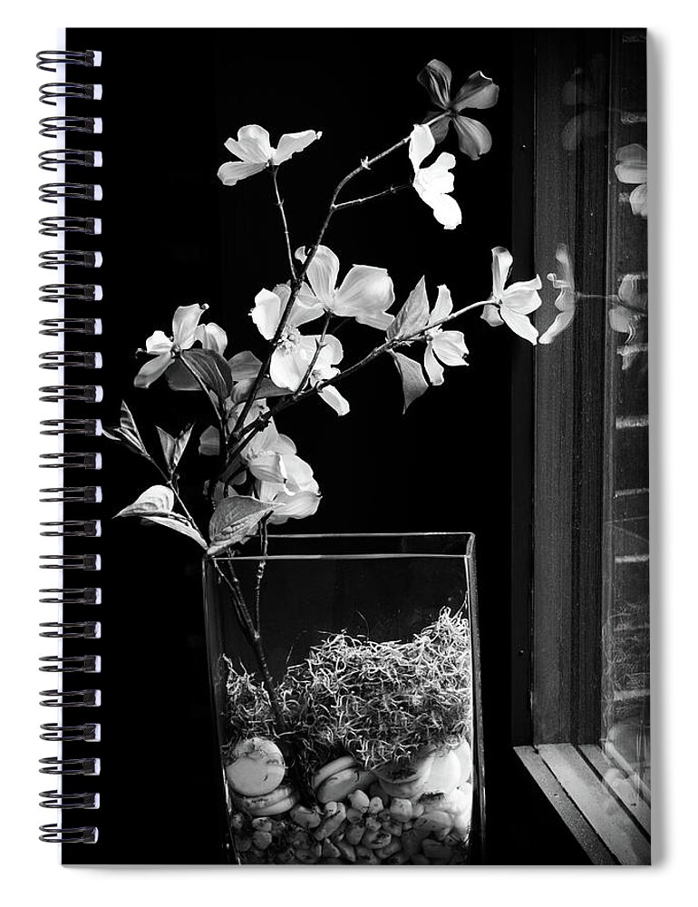 Black And White Spiral Notebook featuring the photograph Reflecting by Barry Wills