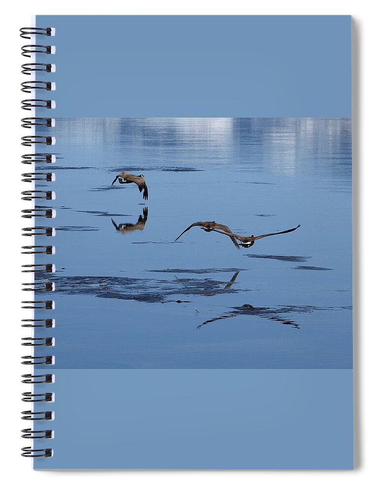 Birds Spiral Notebook featuring the photograph Reflecting Geese by DeeLon Merritt