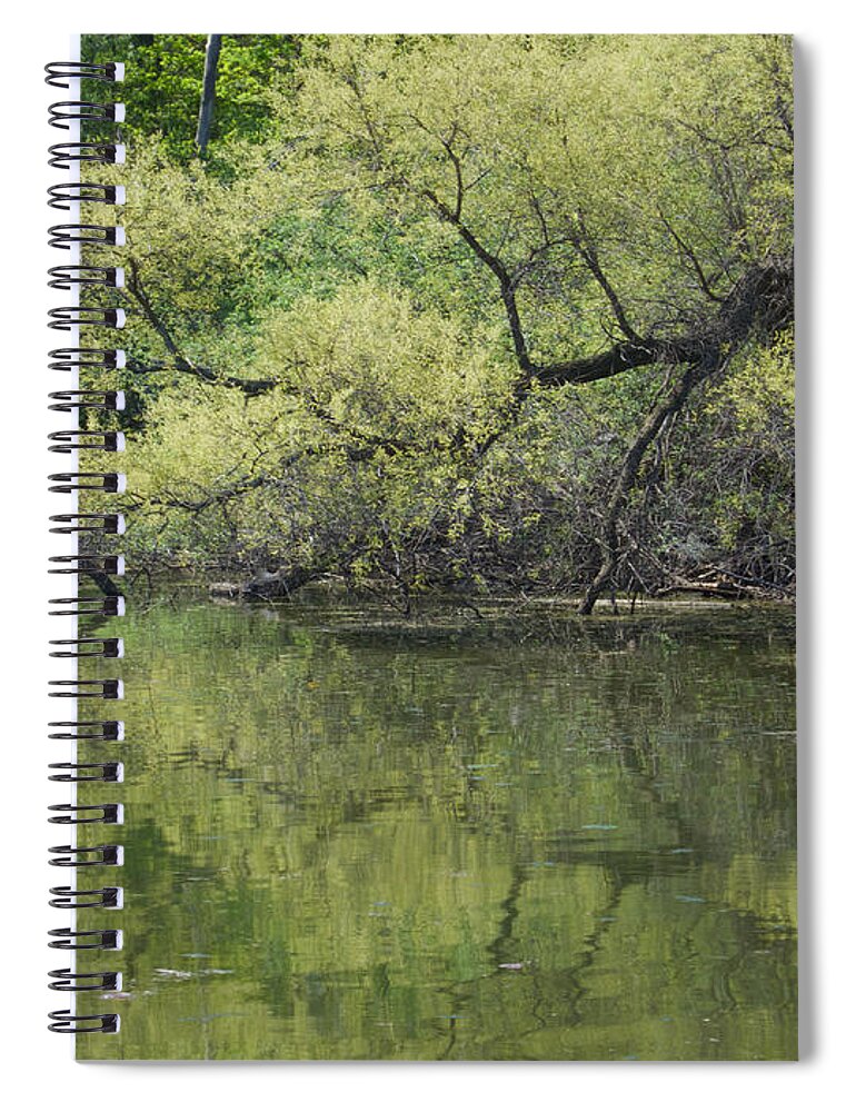 Trees Spiral Notebook featuring the photograph Reflecting Spring Green by Ann Horn