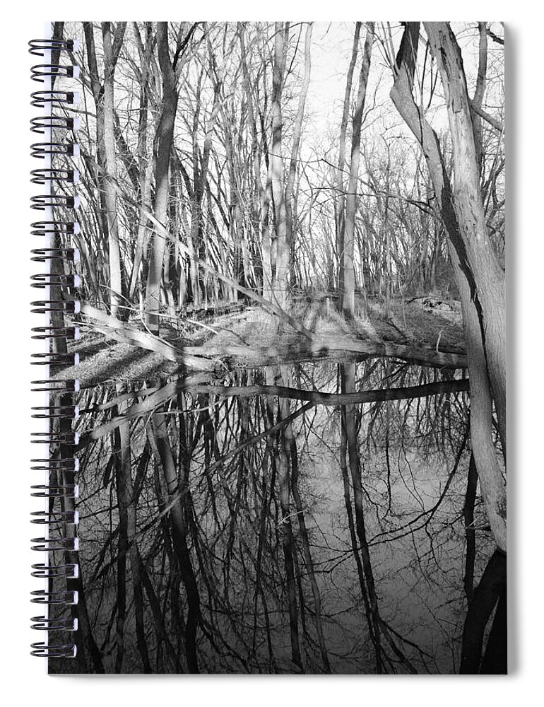 Water Spiral Notebook featuring the photograph Reflecting Woodlands by Bonfire Photography