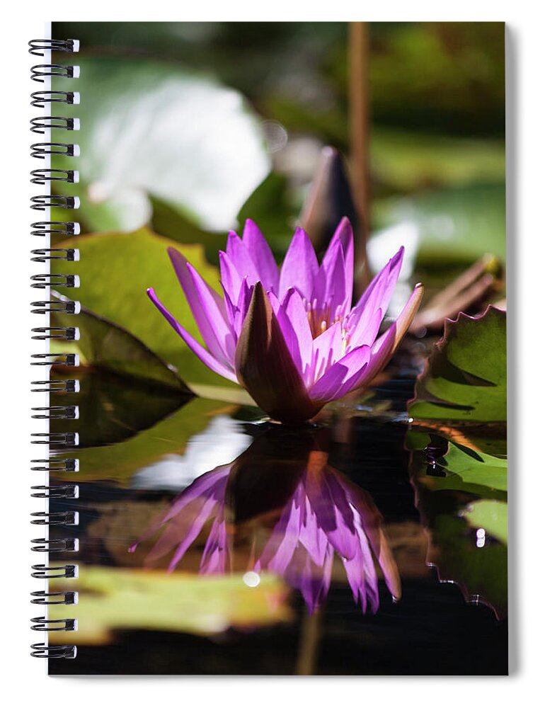 Photograph Spiral Notebook featuring the photograph Reflection in Fuchsia by Suzanne Gaff