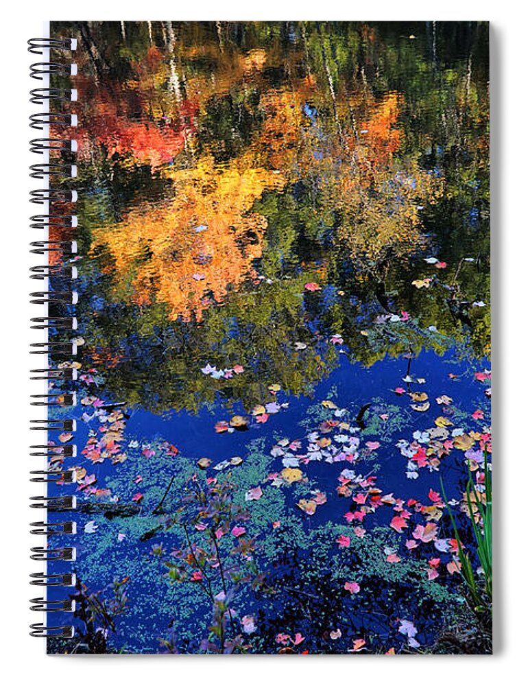 October Spiral Notebook featuring the photograph Reflection of Autumn by Lilia S