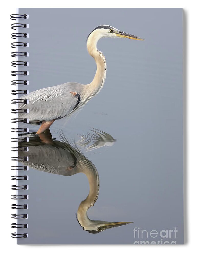 Heron Spiral Notebook featuring the photograph Reflections Of You by Deborah Benoit