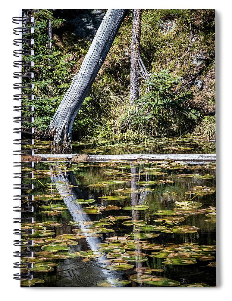 Autumn Spiral Notebook featuring the photograph Reflections by Paul Freidlund