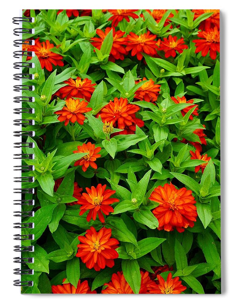  Spiral Notebook featuring the photograph Rejuvenate by Rodney Lee Williams