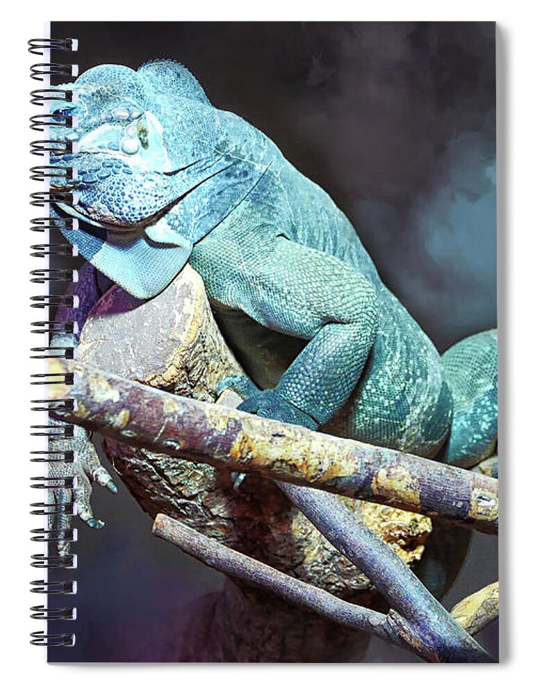 Photo Spiral Notebook featuring the photograph Relaxation by Jutta Maria Pusl