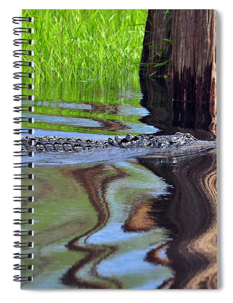Alligator Spiral Notebook featuring the photograph Reptile Ripples by Al Powell Photography USA
