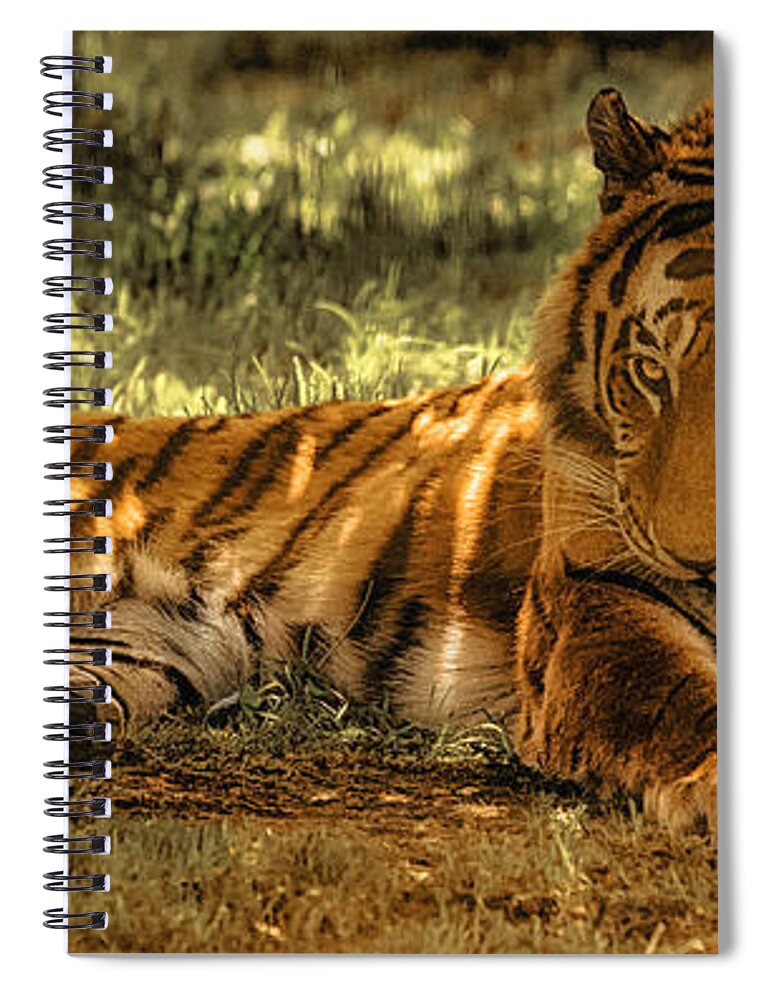 Tiger Spiral Notebook featuring the photograph Resting Tiger by Chris Boulton