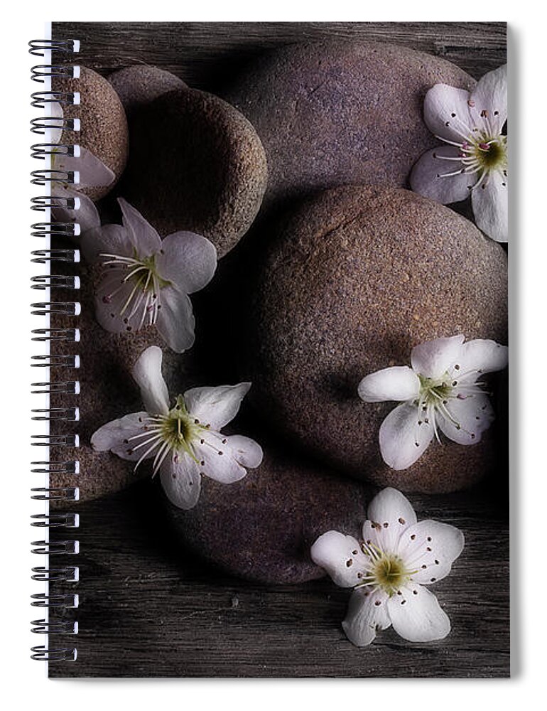 Spring Spiral Notebook featuring the photograph Return To Me by Mike Eingle