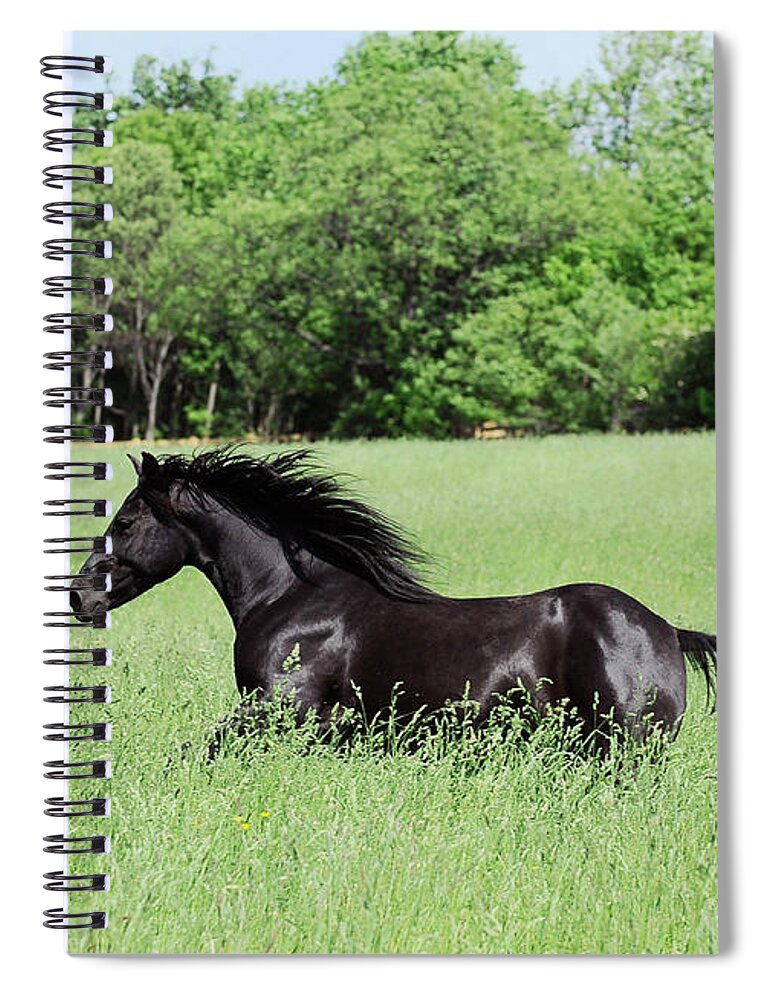 Rosemary Farm Sanctuary Spiral Notebook featuring the photograph The wind in Stardust Meadows by Carien Schippers