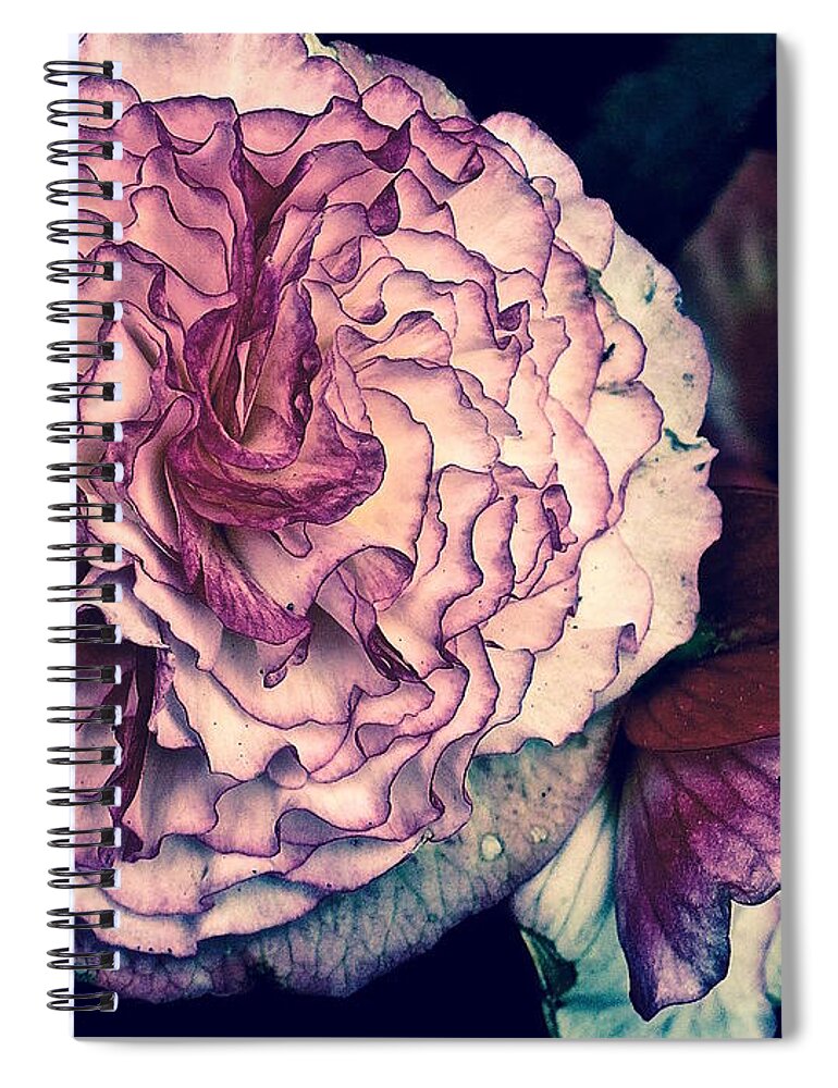 Delicate Spiral Notebook featuring the photograph Rhapsody by Linda Bianic