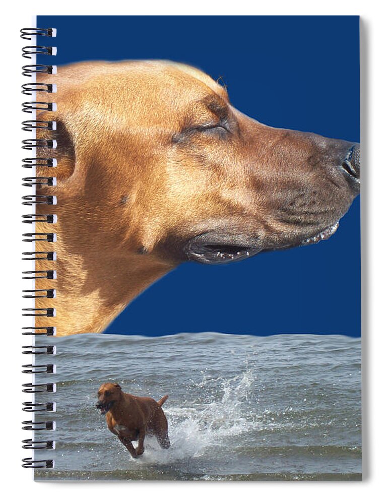 Pet Spiral Notebook featuring the photograph Rhodesian Ridgeback by Mary Mikawoz