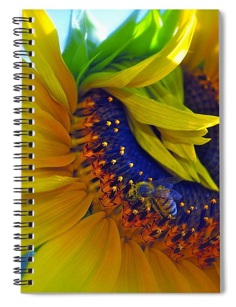 Sunflower Spiral Notebook featuring the photograph Rich in Pollen by Gwyn Newcombe
