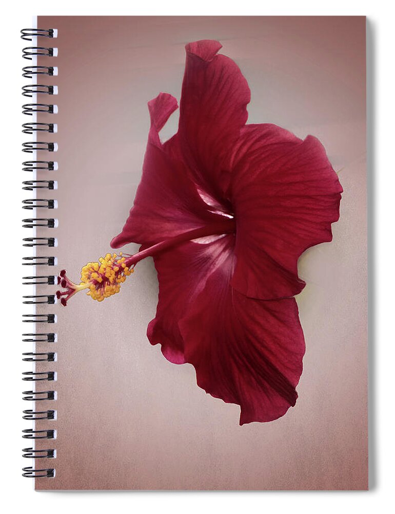 Pretty Spiral Notebook featuring the photograph Rich Red by Judy Hall-Folde