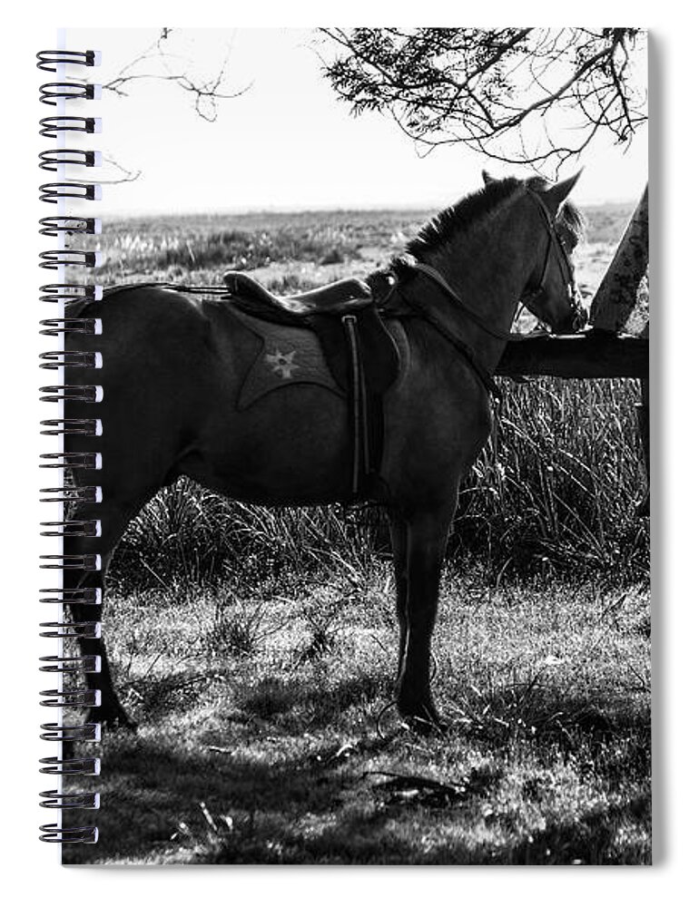 Landscape Spiral Notebook featuring the photograph Rider and horse taking break by Pradeep Raja Prints