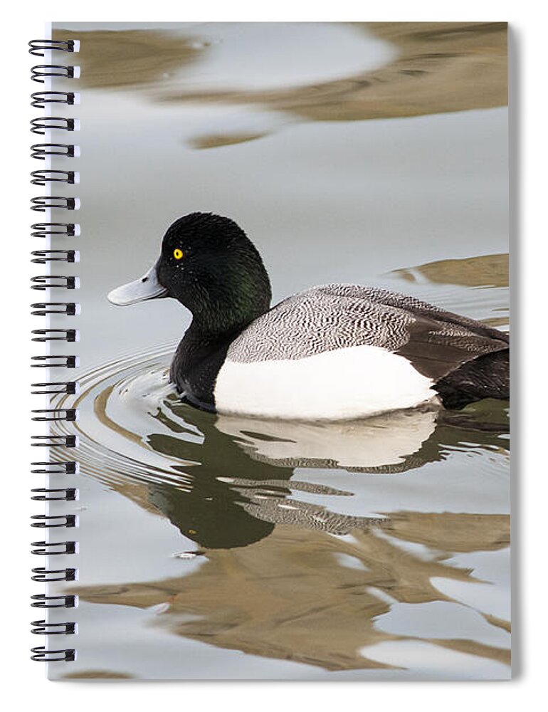 Astoria Spiral Notebook featuring the photograph Ripples and Reflection by Robert Potts