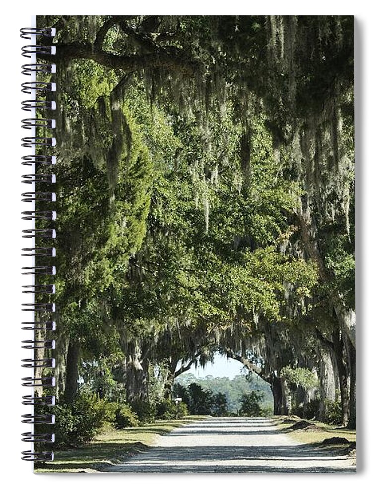 Allee Spiral Notebook featuring the photograph Road with Live Oaks by Bradford Martin