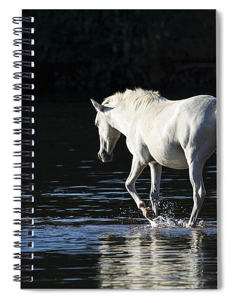 Wild Horses Spiral Notebook featuring the photograph Roam Free by Saija Lehtonen